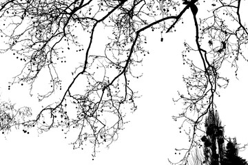 black and white abstract tree pattern