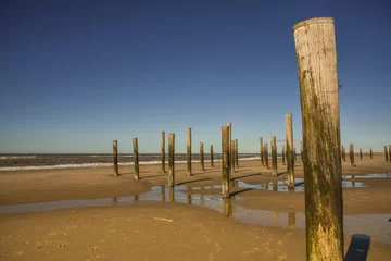 Photo sur Aluminium Mer du Nord, Pays-Bas Le village de poteaux en bois à la plage pf Petten, aux Pays-Bas.