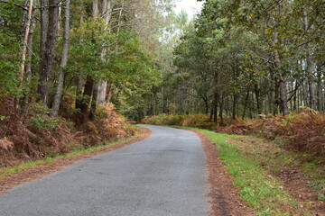 CARRETERA SOLITARIA