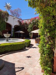 Fototapeta premium garden