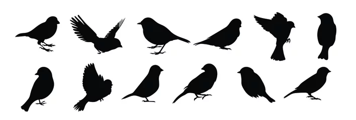 Fotobehang Set of black bird silhouettes. Vector elements for design.  © Myurenn