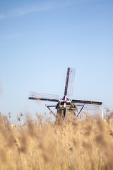 Fototapeta na wymiar Traditional Dutch windmill in the Netherlands (De Schaapweimolen, Rijswijk)