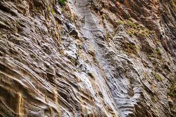 Interesting texture of the rock wall.