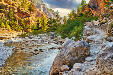 Small river in the mountains with greenery in the background.