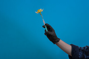 Syringe with yellow narcissus coming from needle on blue background. Minimal Coronavirus or...