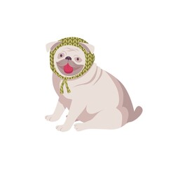 Adorable french bulldog breed wearing knitted green headdress sitting isolated on white background. Friendly gray dog with tongue out. Vector illustration.