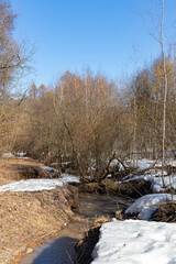 After the Winter Snow is Melting, the Flow of Water in Wooded Area. spring. a stream in the forest. thawing areas. Little creek