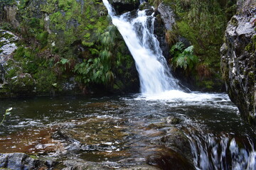 CASCADA