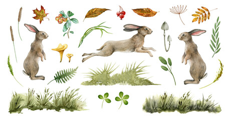 Rabbit animal natural set. Watercolor illustration. Cute bunny stand and jump on white background. Rabbit, grass, leaf, mushroom collection. Natural hand drawn element set. Fluffy bunny side view © anitapol