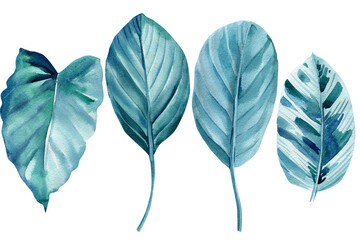 Tropical leaves on an isolated white background. Watercolor Design elements
