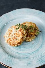 Vegetarian Cole Fritters, A Healthy Hearty Snack