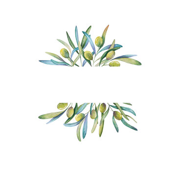 Watercolor olive branches for lable, print, invitation