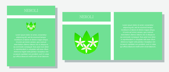Neroli. Information banner or tag in two designs. Description and useful properties of neroli. Template for essential oil, spices. Brochure with empty space for text.