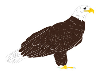 Cartoon  wild eagle in isolate on a white background. Vector illustration.