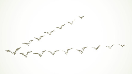 Duck flock in the sky. Vector drawing