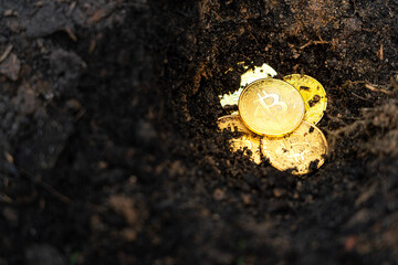 Grounp of gold mettalic Bitcoin (BTC) coins under soil ground, cryptocurrency mining concept photo. Business and technology object.