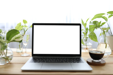 Fototapeta premium Laptop with a glass of coffee and water plants in clear glass vase and cup