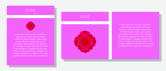 Rose flower. Information banner or tag in two designs. Description and useful properties of the rose. Template for essential oil, spices. Brochure with empty space for text.