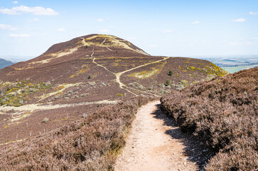 West Side Path up Eildon Hill North, Scottish Borders, UK