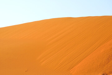 sand dunes in the desert on the sunlight
