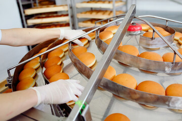 Conveyor belt in a bakery with newly baked buns.