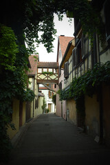 Nice street from picturesque houses, landscape