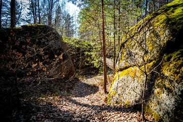 Green mossy forest with mythical mossy stones