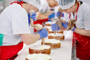 Obraz na płótnie Canvas Decorating cakes on the conveyor of a confectionery factory.