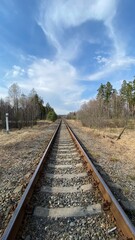 Fototapeta premium Railroad in the forest
