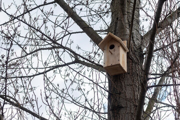 Ukraine, Kyiv - 21 April 2021: Starling box on the tree