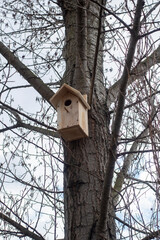 Ukraine, Kyiv - 21 April 2021: Starling box on the tree