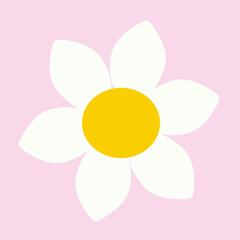flower with white petals and yellow center, vector drawing, isolate on a white background