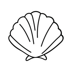 Marine seashell, sea shell, nature ocean aquatic underwater vector. Vector illustration