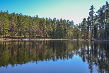 Fototapeta na wymiar View of a quiet, beautiful forest lake on a summer day. On the shore there are coniferous and deciduous trees that are reflected in the water.