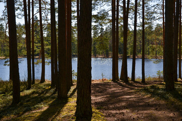 Fototapete bei efototapeten.de bestellen   