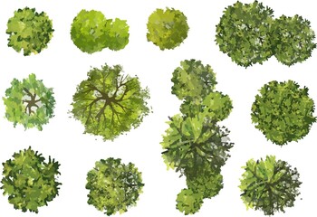 Vector collection of tree top view isolated on white background  for landscape and architecture layout drawing, elements for environment and garden