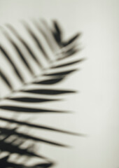 postcard layout on a light background