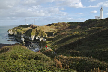Flamborough Cliffs England