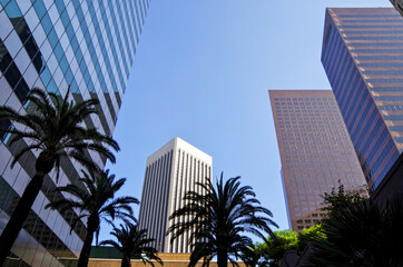 Big city skyscraper highrise tall building skyline cityscape with high towers in financial business...