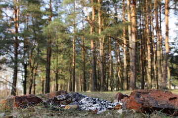 Empty extinguished bonfire with ashes in fire place red bticks close up bottom view on green East...