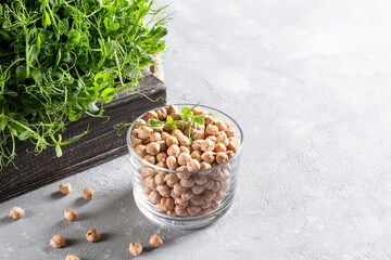 Chickpeas sprouts and chickpeas on a light background. Healthy organic food grown at home. Home...
