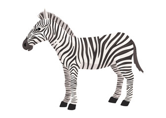 Fototapeta na wymiar Zebra, striped horse, African savannah animal, striped hide. Wild animal, cute character, cartoon vector drawing.