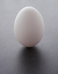 A white egg on a dark background. The concept of minimalism. Side view. A card with a copy of the place for the text.