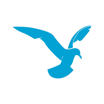 Seagull logo vector art and graphics