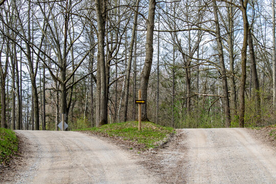 Yellow arrow sign on wooden post in the break of a fork in a dirt road. Forest in the background.