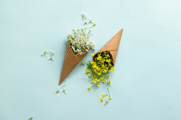 Waffle ice cream cones filled with fresh blossom wild flowers