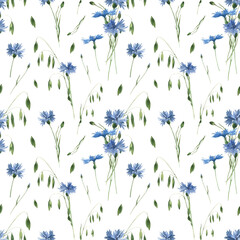 Watercolor seamless pattern with cornflowers on white background.