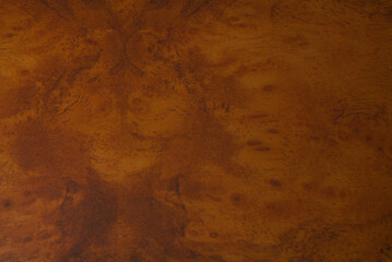 Mahogany texture with a unique pattern. Closeup