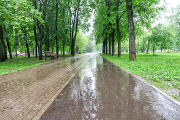 Heavy Rain and hail in the city on a summer day. Large puddles on the sidewalk during heavy rain. in the Park. Wet benches in the Park.