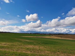 field and blue sky